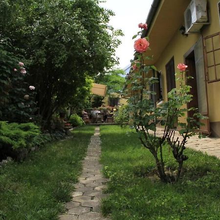 Apartman Brankova Kuca Sremski Karlovci Buitenkant foto