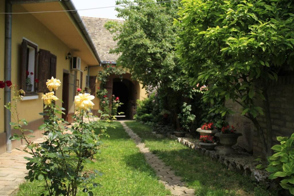 Apartman Brankova Kuca Sremski Karlovci Buitenkant foto