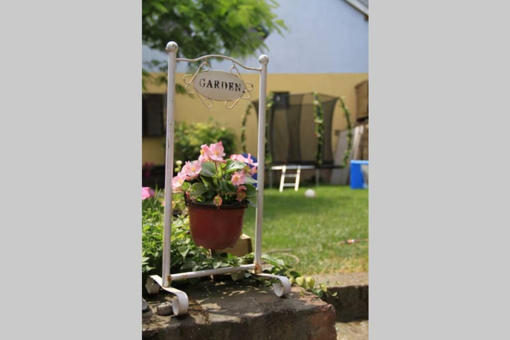 Apartman Brankova Kuca Sremski Karlovci Buitenkant foto