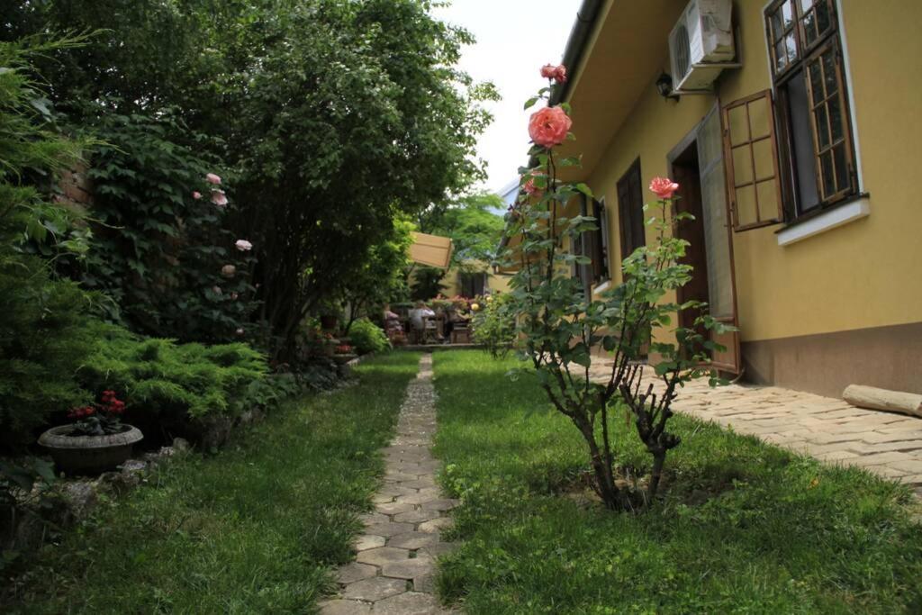 Apartman Brankova Kuca Sremski Karlovci Buitenkant foto
